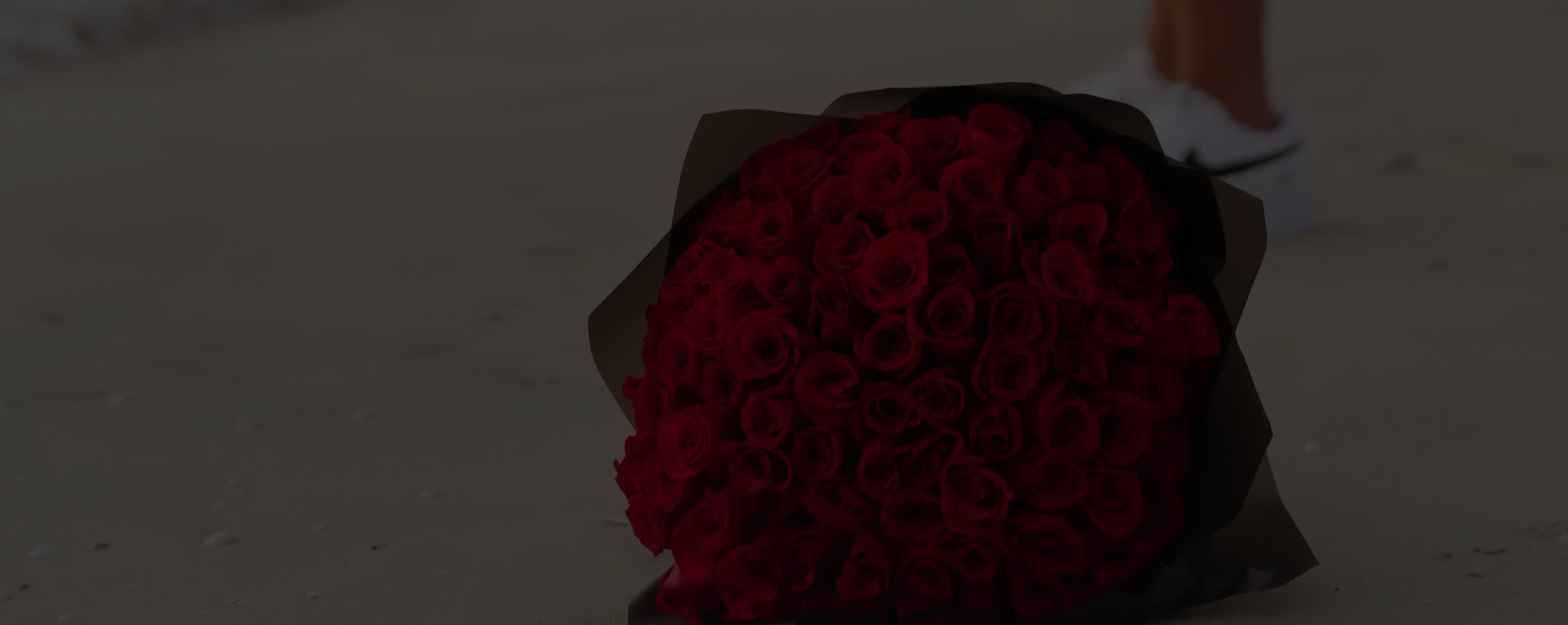 Roses background